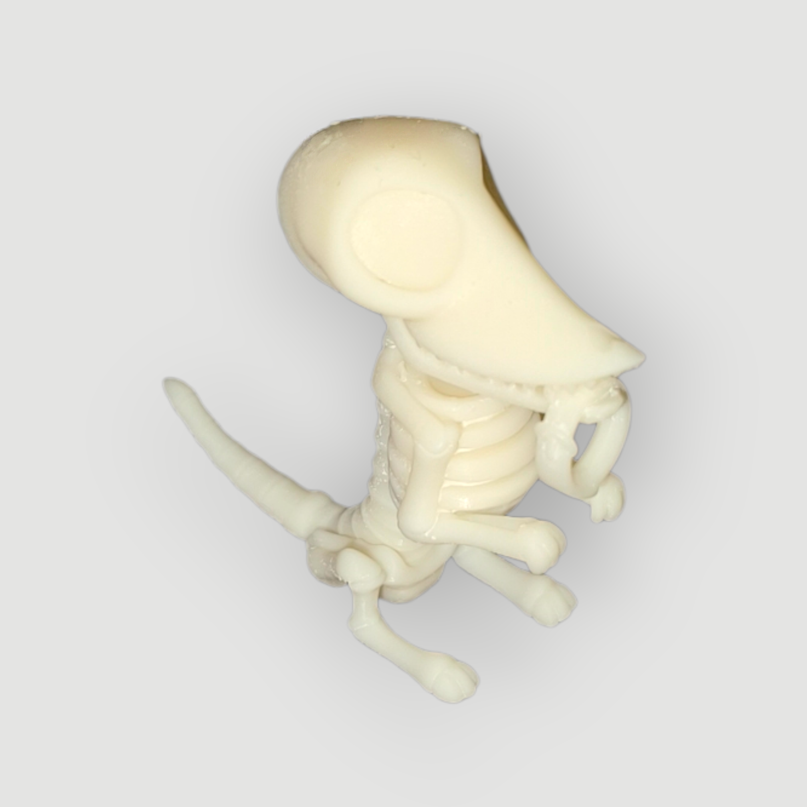 Chien Scraps (chien de Victor (Les Noces Funèbres))