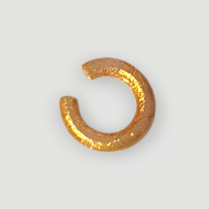 Boucle d'oreille de Clawdeen Wolf