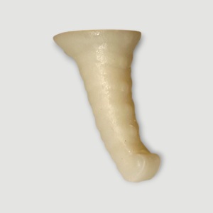 Barbe postiche / Barbichette de Deuce Gorgon (Boo York)