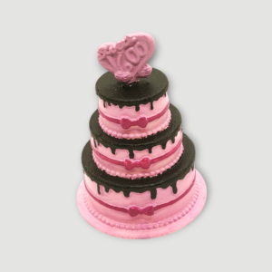 Gâteau de Draculaura (Sweet 1600)