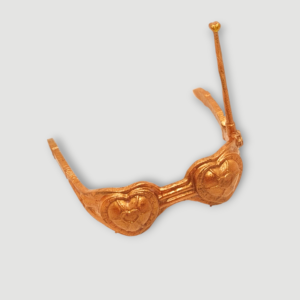 Lunettes de Dracubecca (Freaky Fusion)