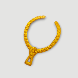 Collier de Clawdeen Wolf (New Scaremester)