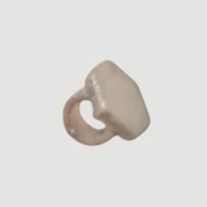 Bague de Frankie Stein (Home Ick)