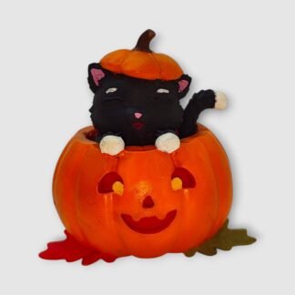Chat citrouille d'automne 🍂